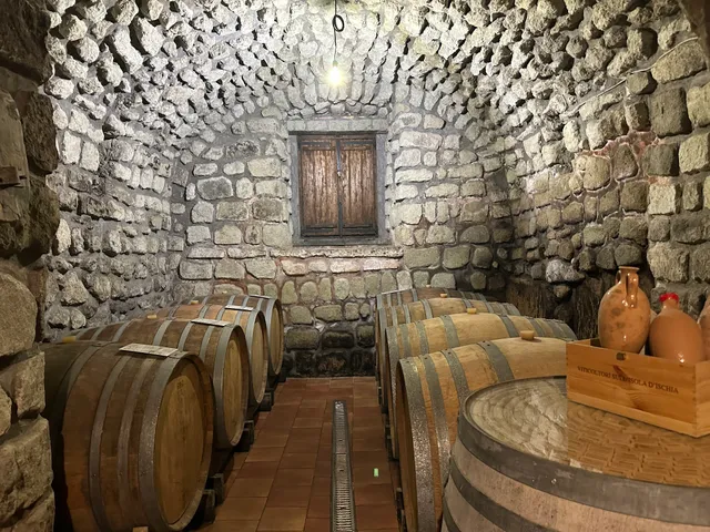 Azienda Agricola La Pietra di Tommasone