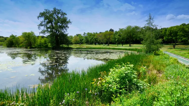 Little Fresh Pond Dog Beach