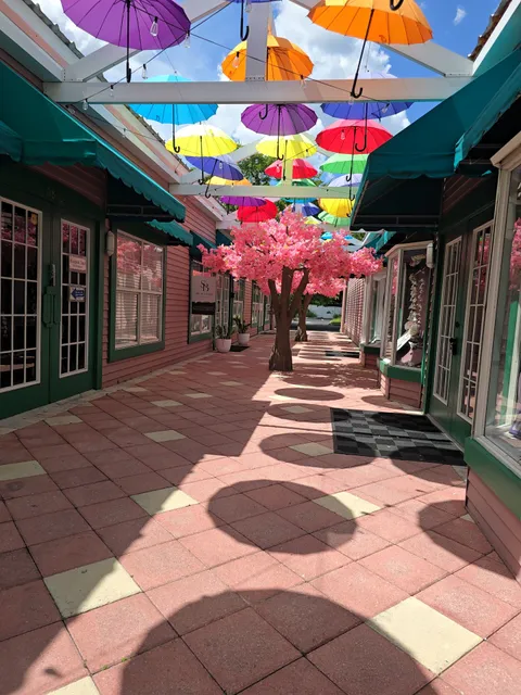 Socotra Yemeni Coffee & Co.