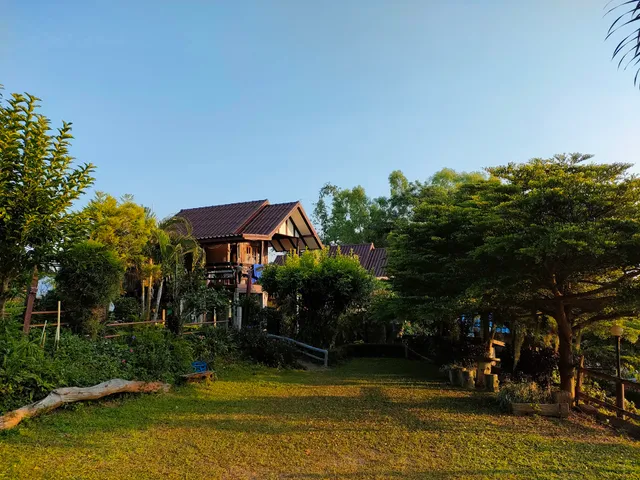 ไพรชมภู เขาค้อ