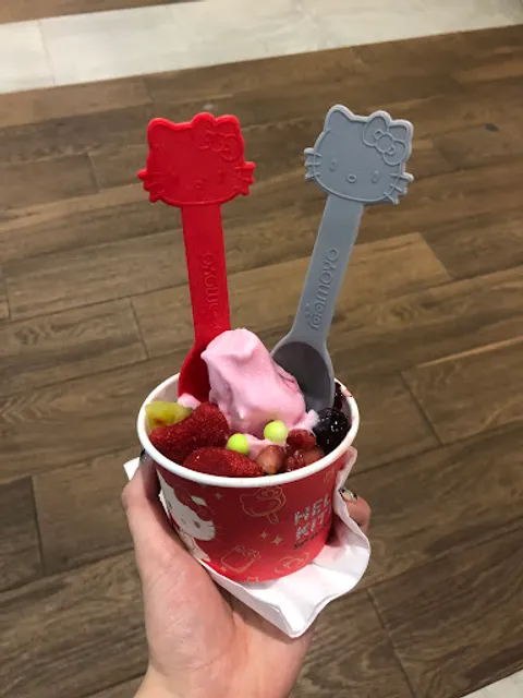 Mini Moyo Puerta Aragón