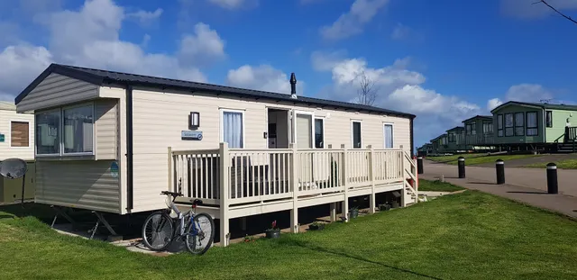 Seagulls, Bridlington