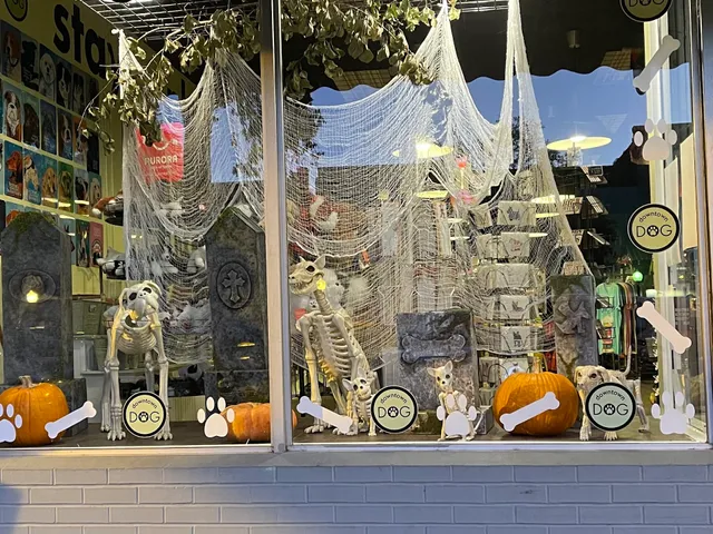 Downtown Dog - Aiken, SC