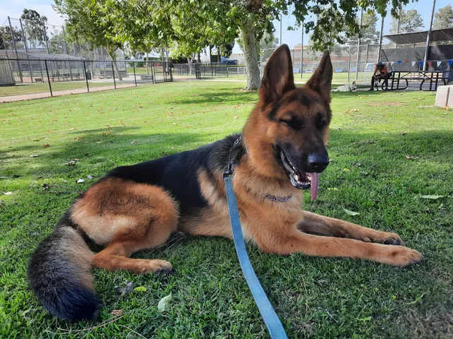 Veterans Sports Park