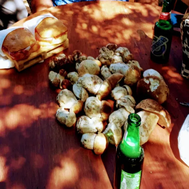 A.S.D. La tana del lupo