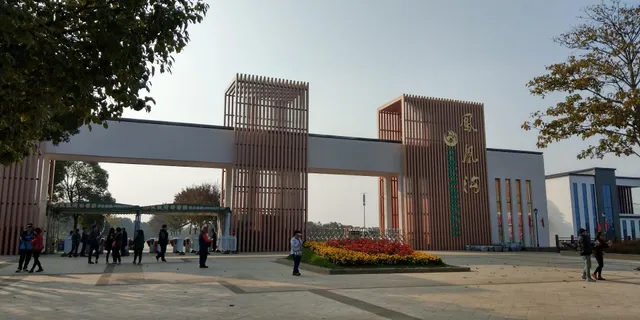 Cherry Blossom Valley