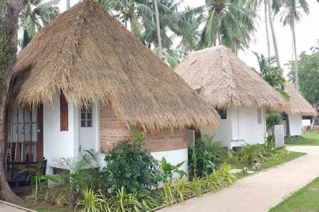 Wild Wood & Hansa Resort