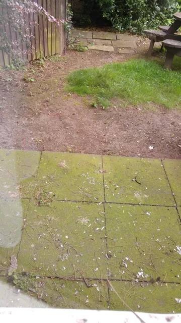 photo-2