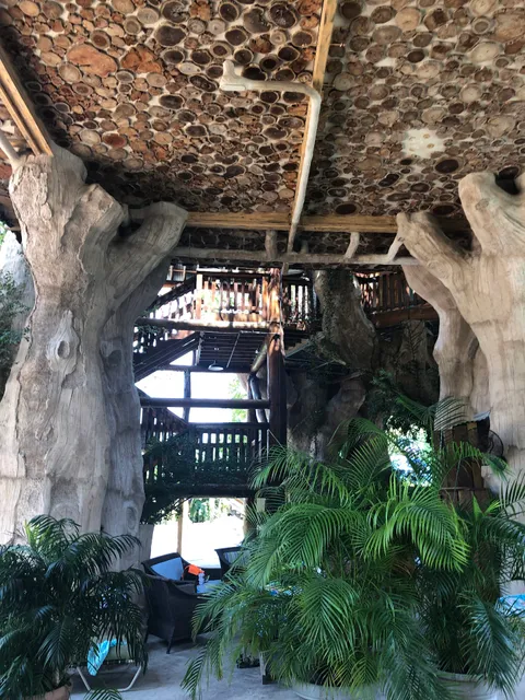 Treehaus Luxury Suites