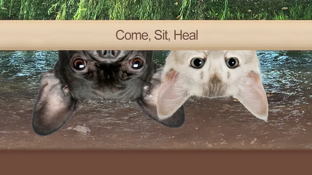 Pendleton Veterinary Clinic