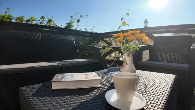 Strefa Ciszy - Lawenda