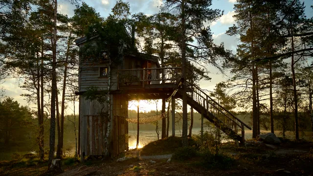 TreeTop Fiddan - Villmarks Tårnet