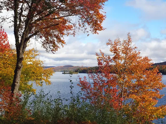 Daikers Brookside Lodging