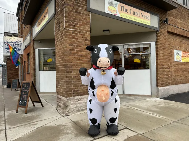 The Curd Nerd