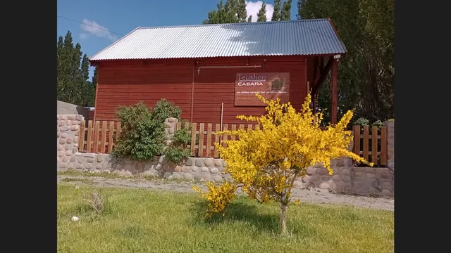 Cabañas Teushen