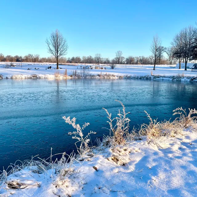 Marshall Family Farms