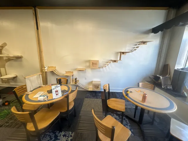 Round-A-Bout Bagels Cat Cafe