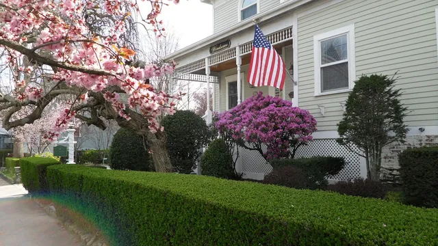 Windsome Bed & Breakfast