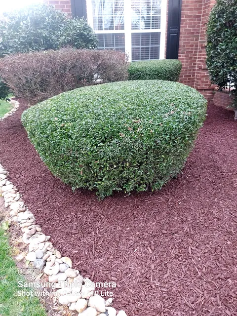 Denali North Carolina LLC