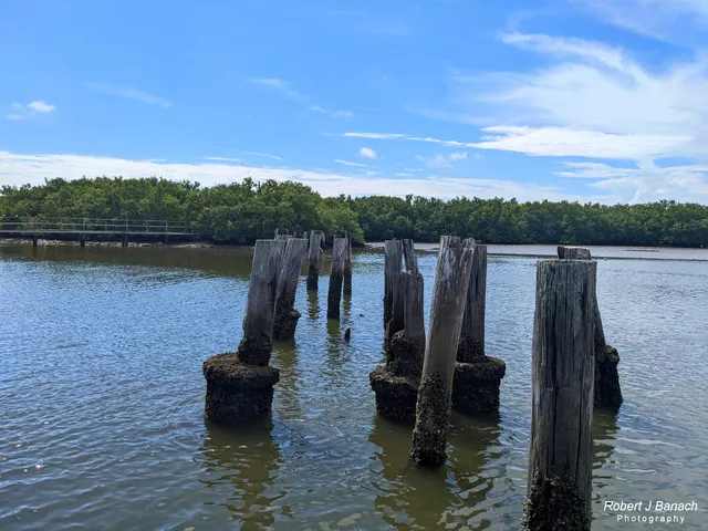 Cedar Key Railroad Trestle Nature Trail