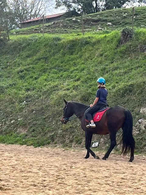 Centro Ecuestre La Espina