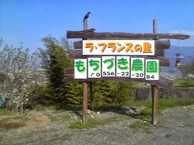 Ra France Masuho Mochizukino Orchards