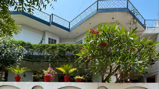 Travel curiosity homestay