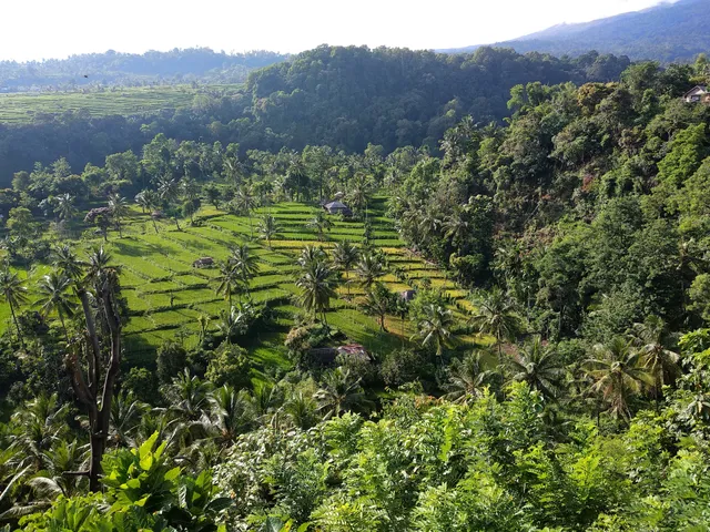 Rinjani Base Camp - Rinjani Trek Centre
