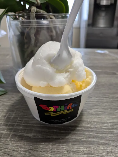 Sophia’s Gourmet Sandwiches And Italian Ice