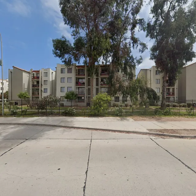 Marco gallo vergara 423