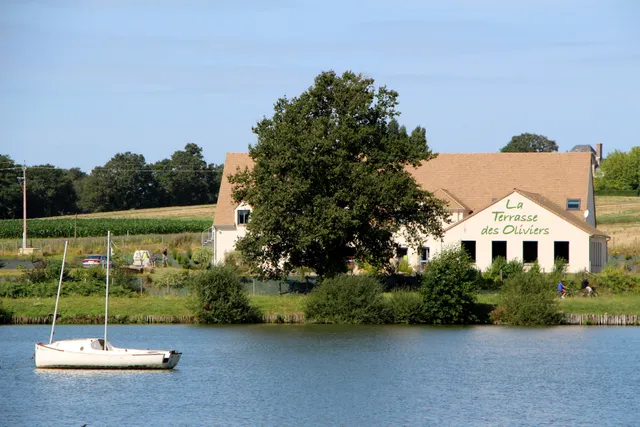 Area La Terrasse Des Oliviers