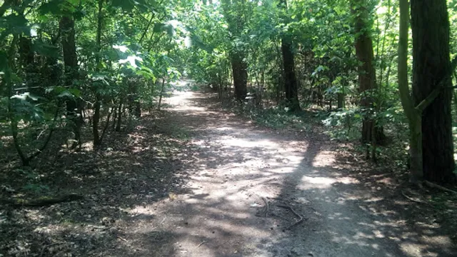 KGA Waldesgrund e.V.