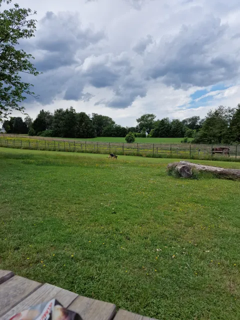 Mally's Privé Hondenspeelweide