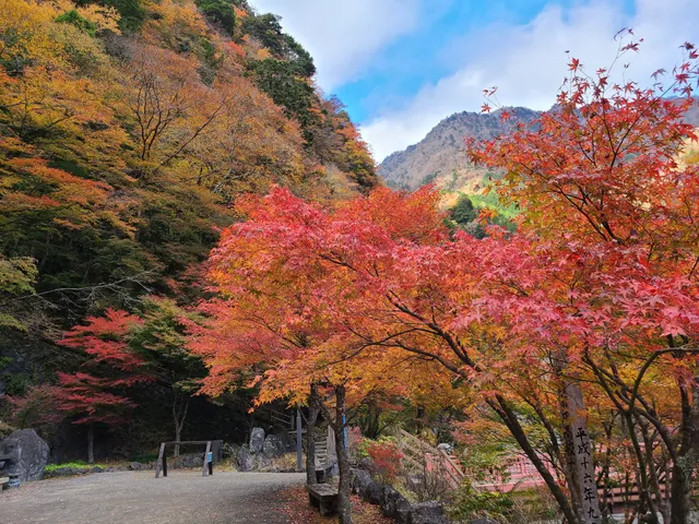 Umegashima Hot Spring