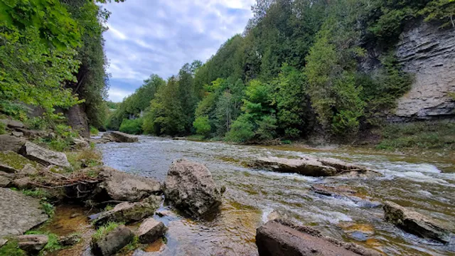 Elora Gorge Stairs