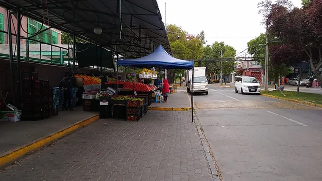 Free markets Ortuzar (Sunday)