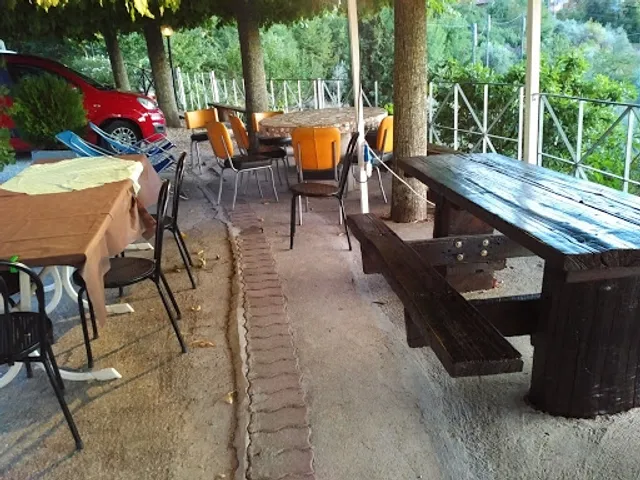 Cassiopea Miranda MMX