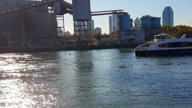 Roosevelt Island Visual Arts Association (RIVAA)