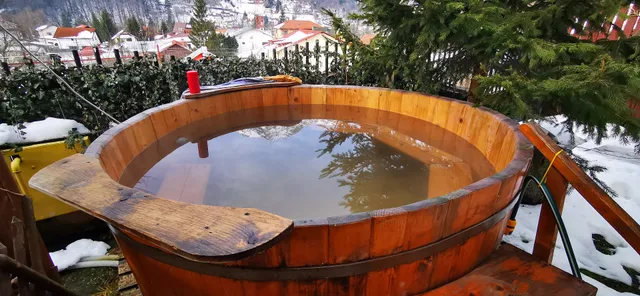 Pensiunea Premium Travel BUȘTENI