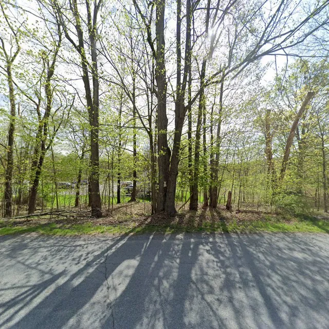 Bold Gold Media Group