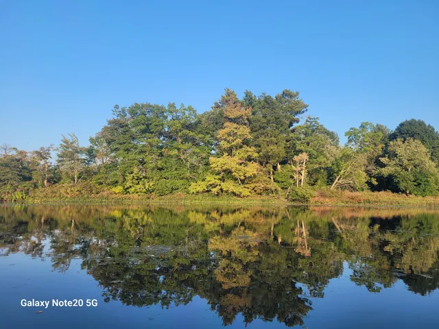 Charles River Park 1
