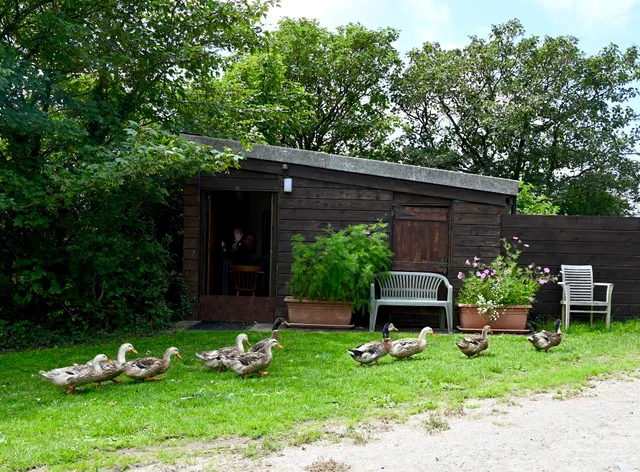 Higher Cheristow Farm Campsite