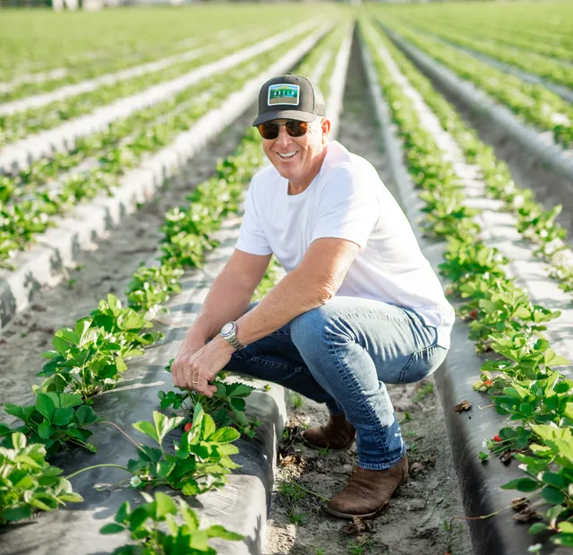 Astin Strawberry Exchange