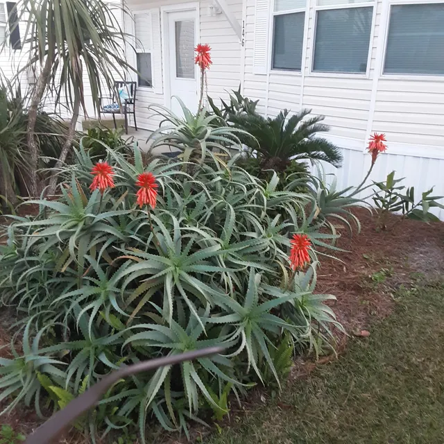 Emerald Pointe Resort HOA