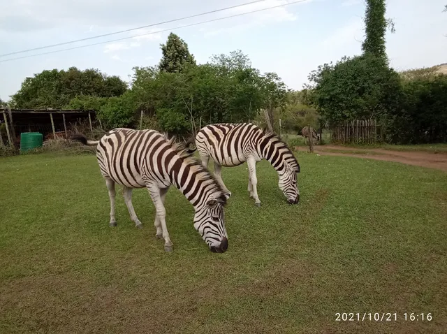 Umgeni Valley Nature Reserve