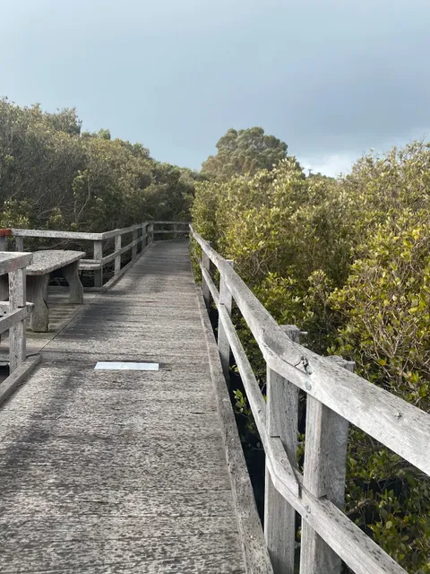 Mangrove Boardwalk