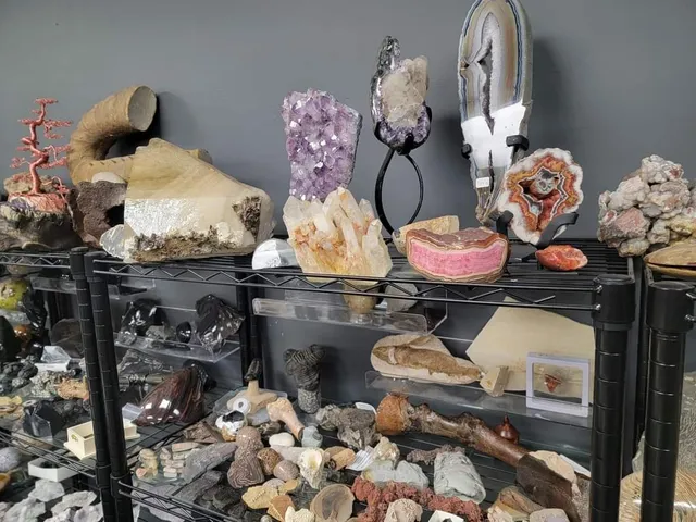 The Mineral Division