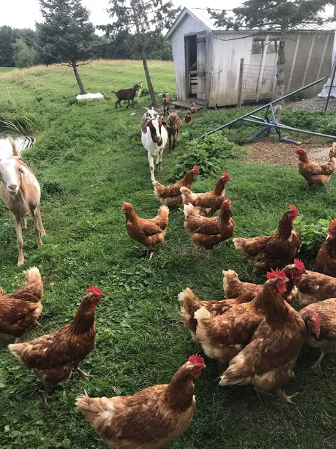 Sauder Produce & Supply