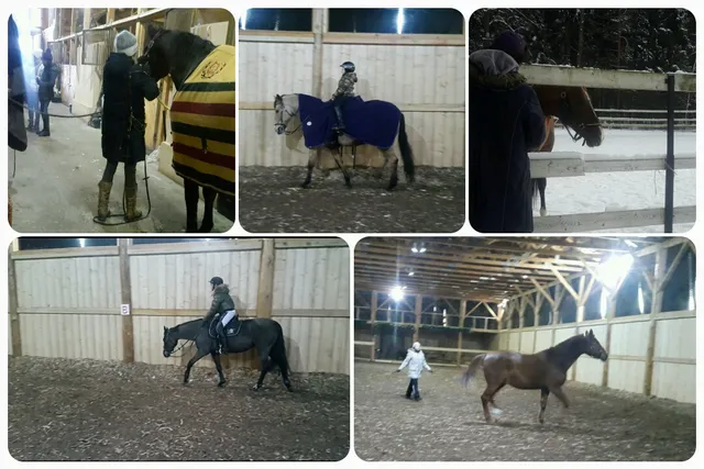 Equestrian club "Bay of joy"