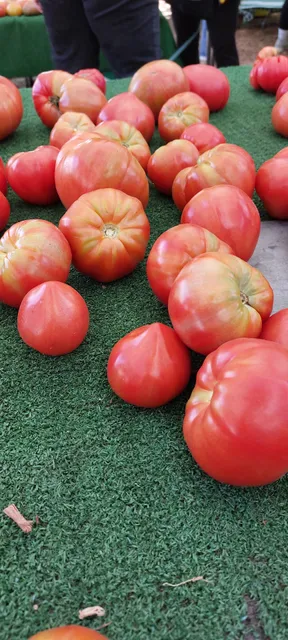 Nichols Farm & Orchard